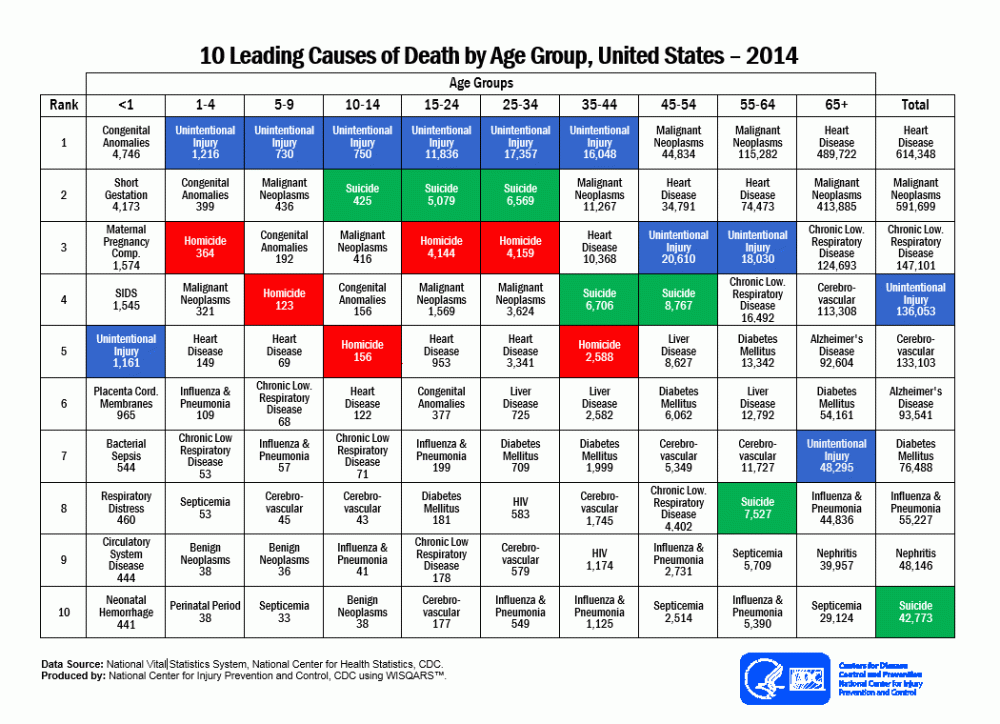 leading_causes_of_death_age_group_2014_1050w760h